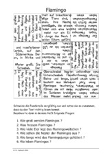 Flamingo.pdf